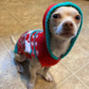 Meet your Posher, Melannie